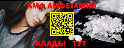 шишки Новодвинск
