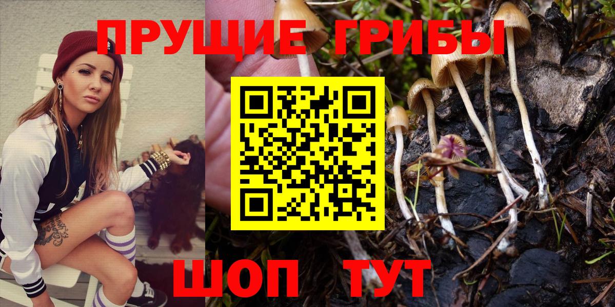 Псилоцибиновые грибы Psilocybe  Псилоцибиновые грибы Cubensis  даркнет сайт  Рязань  Вход с VPN 